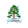 Sedera